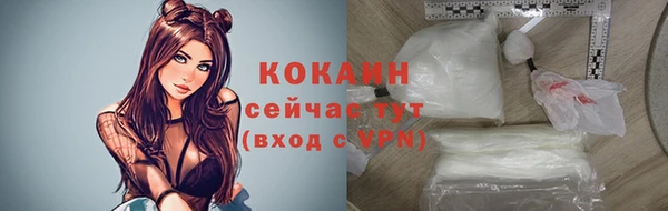 дживик Володарск