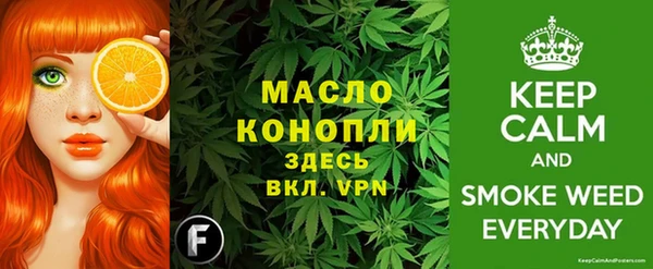 дживик Володарск